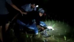  Cilacap Geger, Mayat Pria Membujur Kaku Ditemukan di Sawah