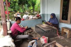 Diburu Konsumen, Harga Kacang Mete Gunungkidul Meningkat Jelang Lebaran