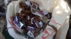 Ribuan KIP Ditemukan di Lapak Rongsok Rangkasbitung Lebak, Dijual Rp2.000 per Dus