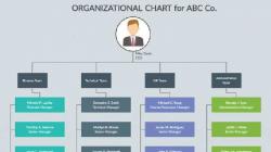 Contoh Struktur Organisasi Perusahaan dan Tugasnya, Efektif Kelola SDM