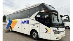 Damri Buka Rute Baru dari Lampung di Lebaran 2023, Ini Daftar Kota Tujuan<