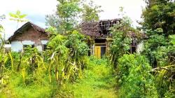 Kampung Unik di Ponorogo, Tak Berpenghuni tapi Ramai Dikunjungi saat Ramadhan<