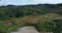 Kampung Unik di Sukabumi, Singgah ke Desa Penghasil Tanaman Langka, Pernah Berkunjung?