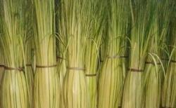  Jelang Lebaran, Penjual Janur di Salatiga Kewalahan Penuhi Permintaan Konsumen