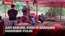 Arena Judi Sabung Ayam di Bandung Digerebek Polisi, Belasan Orang Ditangkap