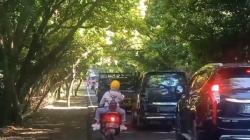 Antrean Kendaraan Pemudik di Pelabuhan Gilimanuk Meluber hingga Hutan Cekik