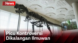 Ini Kerangka T.rex Berusia 67 Juta Tahun yang Terjual Rp93 Miliar