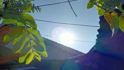 BMKG Ungkap Suhu Bumi Naik 1,2 Derajat Celcius, Berdampak ke Cuaca Ekstrem