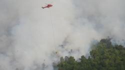 BNPB Siram 5,8 Juta Liter Air Padamkan 5.000 Hektare Karhutla di Kalbar<