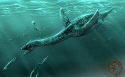 Pola Makan Reptil Laut Zaman Purba Plesiosaurus Terkuak Ilmuwan