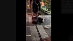 Ternyata Ini Hubungan Aditya Hasibuan dan Ken Admiral sebelum Aksi Penganiayaan