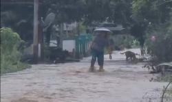 Hujan Deras, Sejumlah Wilayah di Samarinda Terendam Banjir Disertai Lumpur<