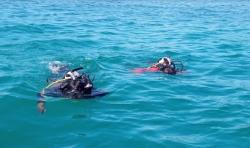 Nelayan Tewas Tenggelam di Dermaga Pelabuhan Awang, Diduga Digigit Buaya