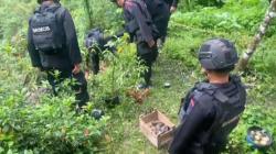 Bersihkan Lahan, Warga Padang Panjang Temukan 9 Granat dan Amunisi Peninggalan Perang
