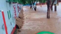 Banjir di Luwu Timur, Rumah hingga Akses Trans Jalan Sulawesi Terendam