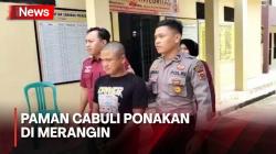 Jarang Diberi Jatah Istrinya, Paman di Merangin Jambi Tega Cabuli Ponakannya