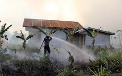 Ratusan Hektare Lahan Terbakar Menjalar ke Permukiman Warga akibat Cuaca Panas