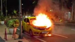 Diduga Korsleting Listrik, Brio Terbakar di Dekat Taman Ekspresi Surabaya