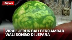 Bergambar Wali Songo, Jeruk Bali di Jepara Hebohkan Warga<