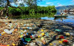 Duh, Teluk Youtefa Jayapura Penuh Sampah Plastik