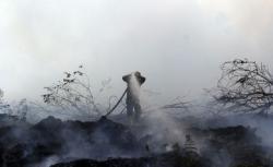 Polda Riau Periksa 20 Saksi Kebakaran Lahan 100 Hektare di Perbatasan Dumai-Bengkalis<
