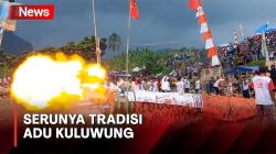 Dentuman Meriam Menggema dalam Tradisi Adu Kuluwung di Bogor