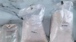 Nelayan Penemu 1,1 Kg Kokain di Tengah Laut Lotim Bakal Diberi Penghargaan<