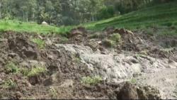 Ngeri, Detik-detik Sawah di Ponorogo Ambles lalu Longsor, Warga Histeris 