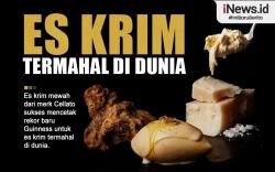 Infografis Es Krim Termahal di Dunia