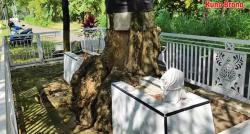 Merinding, Makam Keramat Terbelah Pohon Besar, Warga Tidak Ada yang Berani Tebang!