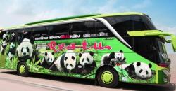 Deretan PO Bus Bergambar Hewan, Ada yang Gunakan Panda untuk Ubah Image