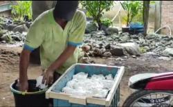  Harga Karet Terus Anjlok, Petani di Lahat Menjerit