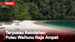 Merasakan Keindahan Pulau Waitunu di Raja Ampat, Terpukau Hamparan Pantai Pasir Putih dan Birunya Laut