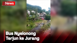 Video Amatir Rekam Detik-Detik Bus Nyelonong Terjun ke Jurang di Guci Tegal