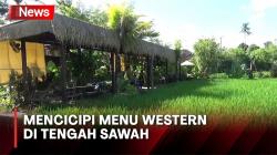 Sensasi Baru! Mencicipi Kuliner Western di Tengah Sawah, Harga Mulai Rp15.000