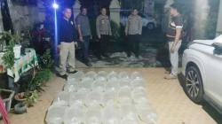 Polisi Gagalkan Peredaran Ratusan Liter Miras Cap Tikus Tanpa Izin di Bitung