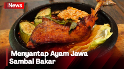  Menikmati Ayam Jawa Sambal Bakar di Lumajang, Pedasnya Bikin Nagih