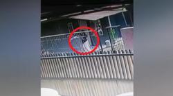 Terekam CCTV Aksi Pencurian Jemuran Pakaian di Purwakarta, Pelaku Perempuan Muda<