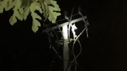 Suara Ledakan di Kantor Bupati Lombok Timur Gemparkan Warga, Getaran Terasa hingga 3 Km