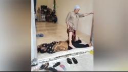 Viral Calon Kepala Desa di Bangkalan Jalani Ritual Tamparan sebelum Berangkat Coblosan