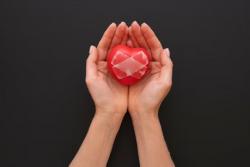 Hari Palang Merah Internasional, Ini Sejarah Perjuangannya