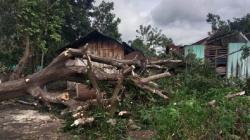 BMKG: Waspada Dampak Angin Muson Timur