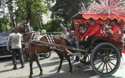 Hasto Naik Delman ke KPU Daftar 500 Bakal Caleg DPR PDI Perjuangan 