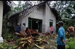 Angin Kencang Landa Kulonprogo, 5 Rumah Warga Rusak Tertimpa Pohon Tumbang<