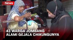 Puluhan Warga di Jombang Mendadak Lumpuh karena Chikungunya