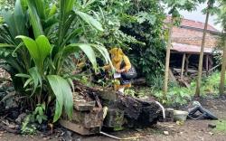 Barang Bukti Kasus Pohon Durian di Musi Rawas Berpindah Tempat ke Rumah Oknum Polisi <