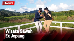 Berlibur dan Bersantai di Destinasi Wisata Sawah Ex Jepang di Belitung Timur 