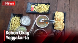 Wisata Kuliner sembari Edukasi Anak tentang Hewan Ternak di Kebon Okay Yogyakarta