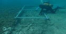 Arkeolog Temukan Jalan Berusia 7.000 Tahun di Dasar Laut, Diduga Pernah Jadi Penghubung Antar Pemukiman 