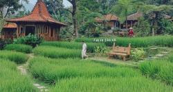 10 Tempat Makan Lesehan di Bogor yang Enak dan Murah, Nomor 3 Suasananya seperti di Ubud 